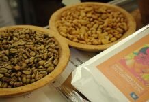 Trabaja SAGARPA Para Consolidar Productividad del Café “Hecho en México”