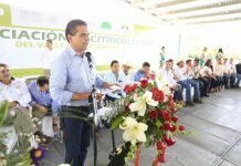 Michoacán Tiene la Fórmula Para Conquistar Otros Mercados Internacionales