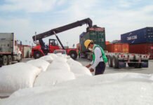 El País no Importa Carne de Bovino ni Cerdo de la Nación Sudamericana