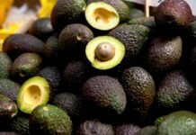 Aguacate y Limón, Productos con Mayor Aumento en su Precio