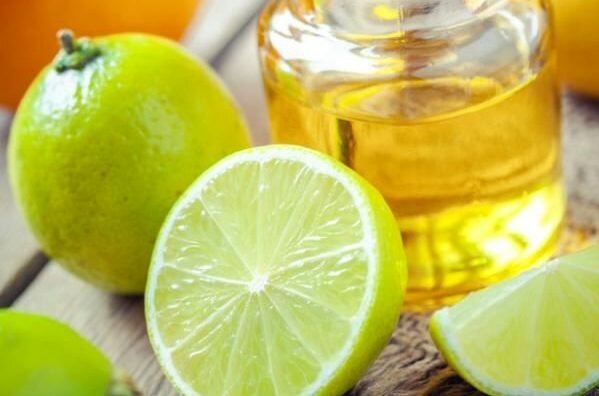 Producirán en Úspero 43 mil Litros de Aceite de Limón: Sedrua Producirán en Úspero 43 mil Litros de Aceite de Limón: Sedrua