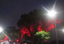 Critican Ciudadanos 16 Millones de Pesos Gastados en un Camellón, en Iluminación Decorativa