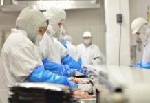 Michoacán, Entre los 5 Estados con Mayor Crecimiento del Sector Manufacturero