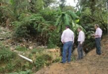 Ha Emitido Cerca de 180 Actuaciones, la Dirección de Recursos Naturales y Normatividad Ambiental