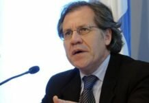 Preocupa a la OEA Violencia pre Electoral en México
