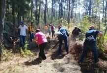 Se han Efectuado Ochenta Kilómetros de Mantenimiento y Apertura de Brechas Cortafuego Para Combatir Incendios Forestales en Uruapan