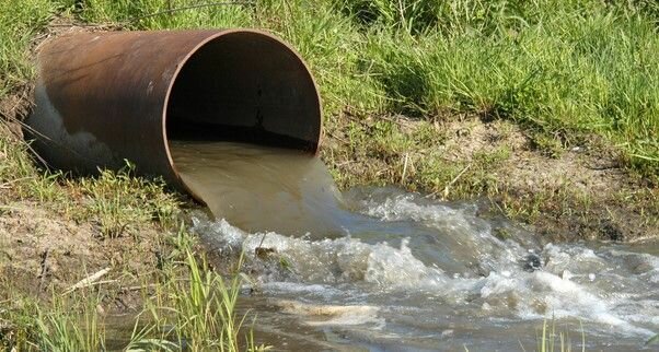Bacterias Podrían Ayudar a Limpiar Agua Contaminada con Medicamento Bacterias Podrían Ayudar a Limpiar Agua Contaminada con Medicamento