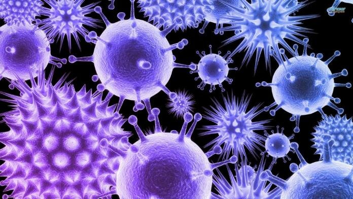 Bacterias Podrían Ayudar a Limpiar Agua Contaminada con Medicamento Bacterias Podrían Ayudar a Limpiar Agua Contaminada con Medicamento