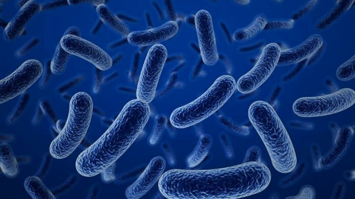 Bacterias Podrían Ayudar a Limpiar Agua Contaminada con Medicamento Bacterias Podrían Ayudar a Limpiar Agua Contaminada con Medicamento