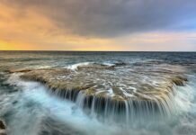 Acidificación del Agua Provocó Extinción Masiva Hace 66 Millones de Años