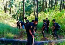 Ciudadanía y Gobierno Municipal Avanzan en Mantenimiento de Brechas Cortafuego