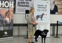 Detectan, por Primera vez en México, Covid-19 en Animales