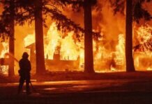 Estados Unidos: Incendio Forestal en California Devora Superficie Equivalente a Chicago