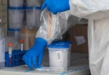 Investigar el Origen del Covid-19 “No Consiste en Buscar Culpables”: OMS