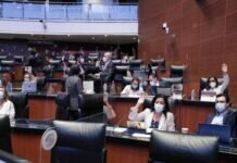 Comisiones del Senado Aprueba Dictamen Final de la Ley de Revocación de Mandato