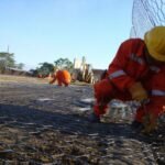 Cepal Eleva a 6.2% Perspectiva de Crecimiento Económico Para México
