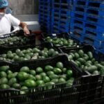 México Registró en Agosto un Déficit Comercial de 3 mil 902 mdd