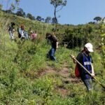 Inician Trabajos de Mantenimiento y Reforestación en el Cerro de Jicalán