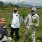 Participa Fiscalía General en Reforestación del Parque Urbano Ecológico de Uruapan