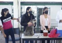 Encabeza el DIF Municipal Jornada de Vacunación Antirrábica