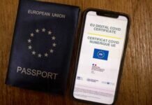 Italia, Primer País en Pedir Certificado de Vacunación a Empleados