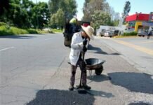 Continúa Bacheo y Sincronización de Semáforos