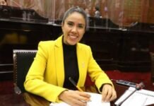 En Derechos Para las Niñas, Debe Garantizarse una Amplia Protección en Michoacán: Fanny Arreola