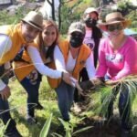 Trabajo en Equipo por Nuestros Bosques