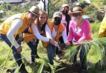 Trabajo en Equipo por Nuestros Bosques