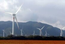 Se Cumplirá Producción de 35% de Electricidad con Energía Limpia en 2024: Nahle