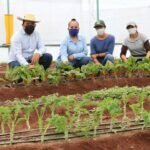 Ruta Para el Fortalecimiento de la Vocación Agrícola de Michoacán Debe Mantenerse: Julieta Gallardo