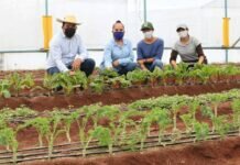 Ruta Para el Fortalecimiento de la Vocación Agrícola de Michoacán Debe Mantenerse: Julieta Gallardo