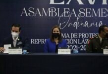 Congreso Aliado de Quienes Buscan el Desarrollo Económico de Michoacán: Ivonne Pantoja