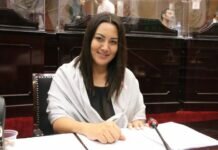 En Conformación de Comisiones Legislativas Deben Privilegiarse los Perfiles: Mónica Valdez