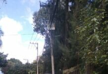 Tras un Año en Abandono, Ejercen Limpieza Profunda en Avenida San Francisco Uruapan