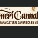 Será en Diciembre la X Semana Cannábica
