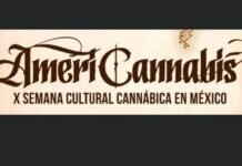 Será en Diciembre la X Semana Cannábica