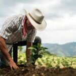 AMLO Asegura que Estados Unidos Tiene Interés en Sembrando Vida