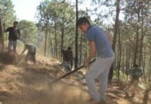 Rehabilitación y Mantenimiento de Brechas Cortafuego en el Cerro de la Cruz