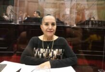 No hay Información Clara Sobre Condiciones de Seguridad Para un Retorno Presencial a Clases: Julieta Gallardo