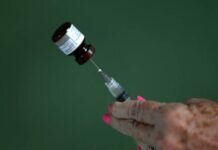 OMS Llama a Vacunación en Venezuela Contra Fiebre Amarilla por Brote