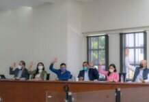 Frontal Combate a Violencia Contra las Mujeres