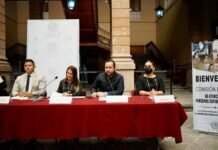 Desde el Poder Legislativo el PT Impulsará la Representación de Grupos con Discapacidad en Materia Electoral: Reyes Galindo