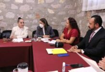 Labor de Organismos Autónomos Debe Garantizarse Desde el Presupuesto: Julieta Gallardo