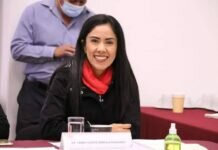 Buscan Limpiar Culpas del Castigo en que Federación ha Sometido a Michoacán: Fanny Arreola