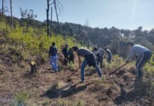 Gobierno del Bien y Jóvenes Uruapenses Comprometidos con el Medio Ambiente