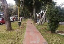 Intensifican Trabajos en Servicios Públicos