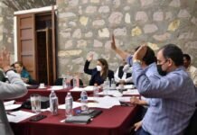 Necesario Esfuerzo Interinstitucional Para Atender las Demandas Ciudadanas: Andrea Villanueva