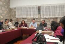 Aprueban Reemplacamiento en Michoacán Para 2022