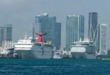 Los Cruceros, Bajo la Lupa de Ee.uu. Tras Erupción de Covid-19 por Ómicron